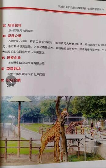 厲害了我的大濱州，15個(gè)招商引資項(xiàng)目集中簽約！