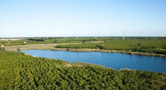 厲害了我的大濱州，15個(gè)招商引資項(xiàng)目集中簽約！